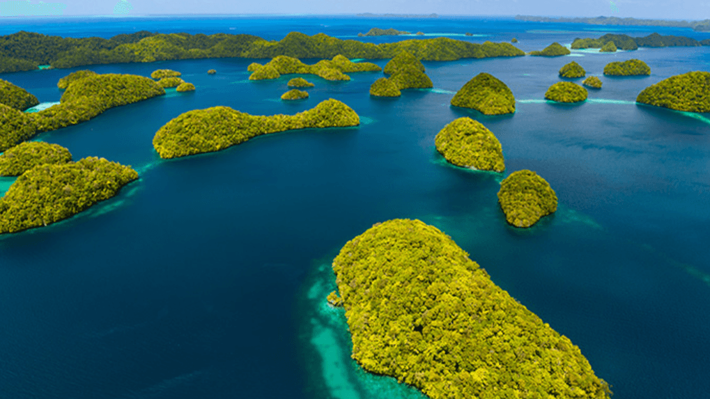 Qantas Business Class to Palau thumbnail 3