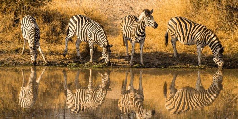 Africa destinations